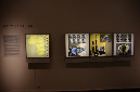 Wasp_exhibition__DSC3392
